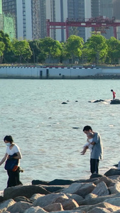 深圳湾公园的游客海边的游客视频