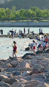 深圳湾公园的游客海边的游客视频