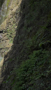5A级旅游景区重庆黑山谷神龙瀑布升格慢镜头环保示范景区视频