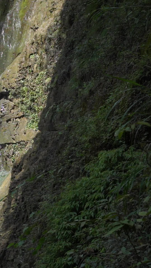5A级旅游景区重庆黑山谷神龙瀑布升格慢镜头环保示范景区78秒视频