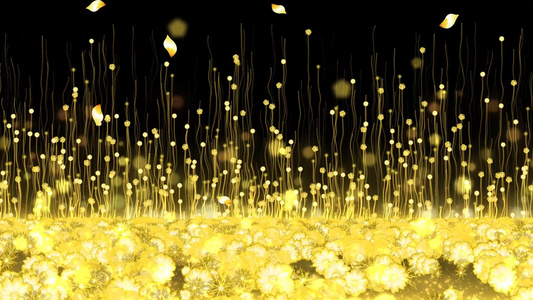 动态金色大气粒子花海背景视频元素视频