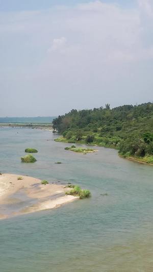 航拍充满绿色的大河沿岸43秒视频