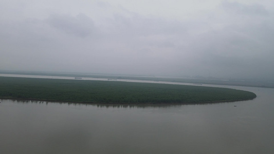 航拍祖国大好江河湖南岳阳洞庭湖水上植物森林芦苇视频