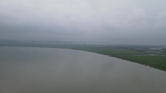 航拍祖国大好江河湖南岳阳洞庭湖水上植物森林芦苇视频