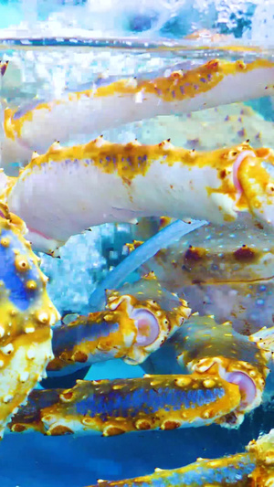 海鲜帝王蟹海产品67秒视频