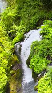 宜昌5A风景区三峡人家龙进溪情鹰瀑合集5A景点视频