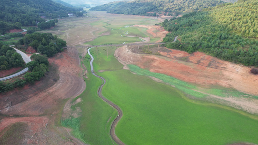 河滩放牧黑山羊群视频