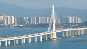 4K深圳湾大桥32秒视频