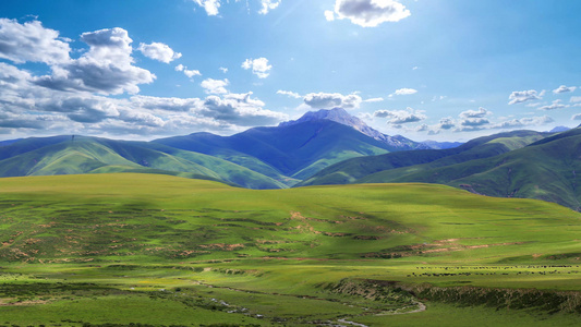 延绵辽阔的西藏草地自然风光视频