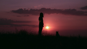 女性带着宠物在看日落10秒视频