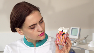 女牙医看着牙齿模型10秒视频
