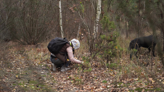 女性在森林中寻找某物在地上寻找的东西视频