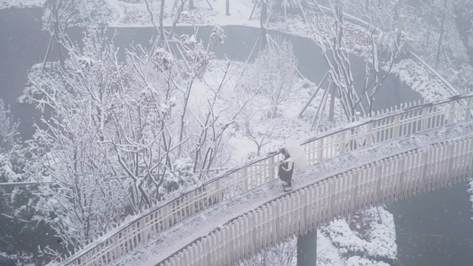 成都龙泉山森林公园下雪视频