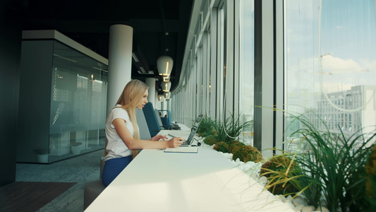 在新办公室使用笔记本电脑的女商人坐在现代办公室窗户视频