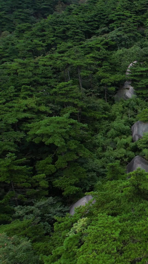 航拍5A安徽天柱山景区通天谷视频旅游景区47秒视频