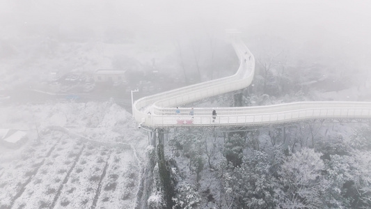 成都龙泉山森林公园下雪视频