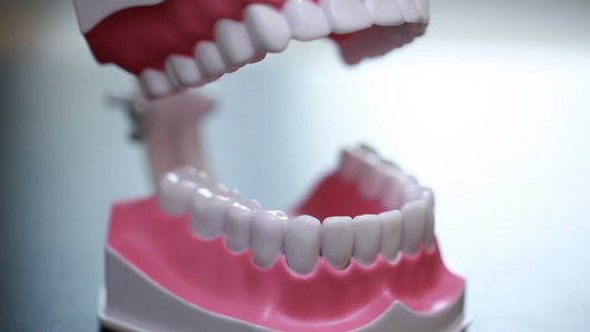 牙齿模型演示刷牙方法视频