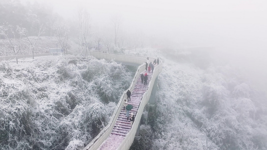 成都龙泉山森林公园下雪视频