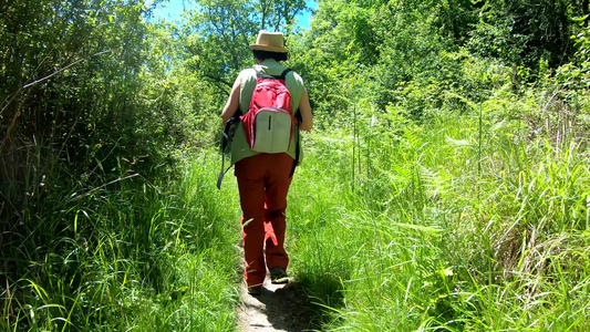 在山上徒步登山后方看到女人背部带着背包在路上走来走去视频