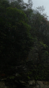 雨天湖南4A级旅游景区张家界宝峰湖阴雨天气素材景区素材视频