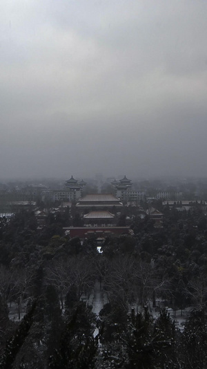 北京寿皇殿公园延时古代建筑20秒视频