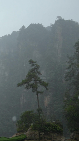 雨天湖南4A级旅游景区张家界宝峰湖阴雨天气素材景区素材85秒视频