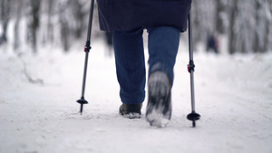 活跃的老年妇女用登山杖训练北欧式行走冬天在户外练习11秒视频