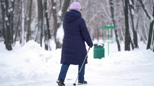 活跃的老年妇女用登山杖训练北欧式行走冬天在户外练习7秒视频