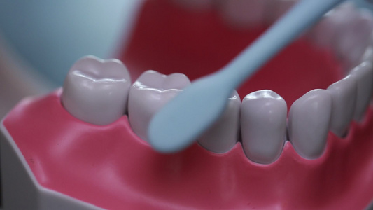 牙齿模型演示刷牙方法视频
