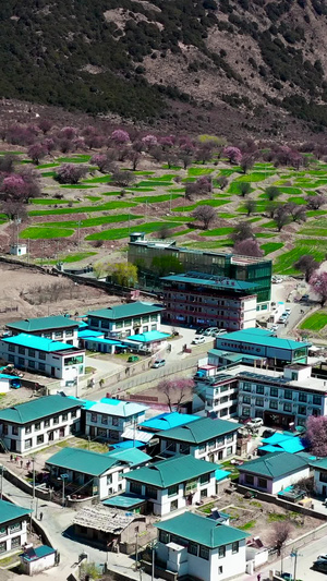 林芝5A景区索松村航拍西藏航拍宣传129秒视频