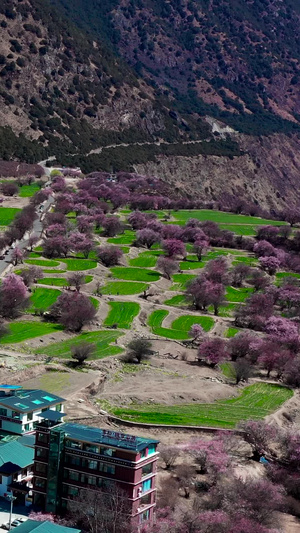 林芝5A景区索松村航拍藏族村落129秒视频
