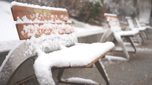 冬天大雪雪景下雪树叶积雪飘雪唯美4K特写视频