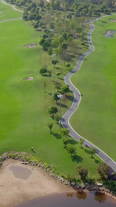 高清航拍高尔夫球场风景绿地春天阳光明媚视频