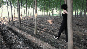 美丽妇女走在茂美的林树里15秒视频