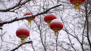 北京北海公园的红灯笼6秒视频