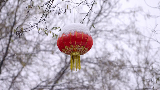 北京北海公园的红灯笼节日雪景视频