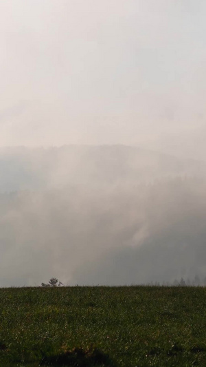 草原森林云雾缭绕森林延时11秒视频