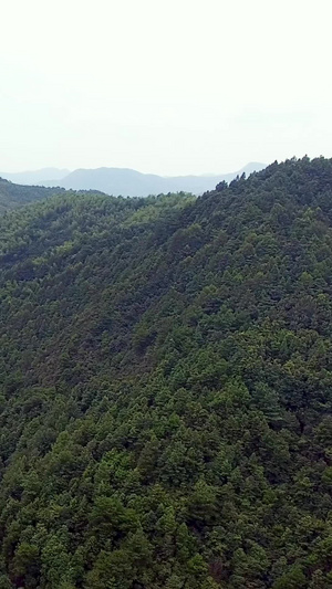 航拍国家森林公园嵩云山旅游景点19秒视频