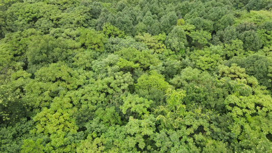 湖南湘西芙蓉镇大桥航拍 视频