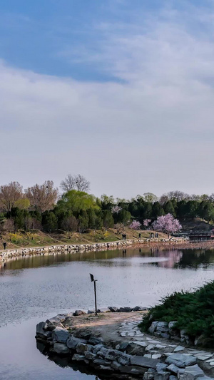 春天里蜿蜒的河流延时蓝天白云15秒视频