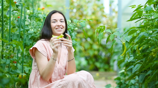 在温室里放一篮绿菜蔬菜的年轻女子收割时间到了视频