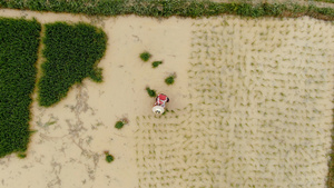 4K航拍春耕种植水稻 31秒视频