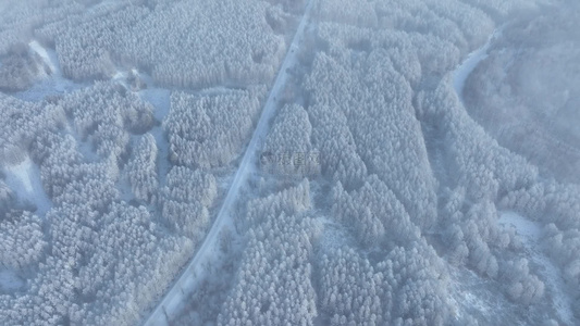 大兴安岭冬天森林道路雪景视频