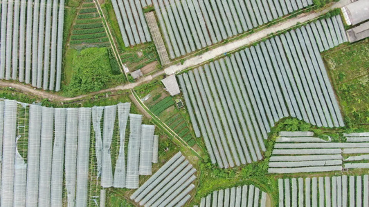 航拍乡村农业大棚种植基地视频