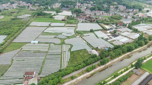 航拍乡村农业大棚种植基地视频