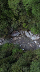 航拍5A安徽天堂寨风景区白马大峡谷溪水视频安徽旅游视频