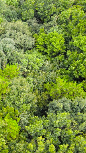 4A风景区虞山国家森林公园缆车航拍合集139秒视频