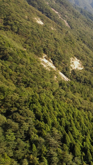 航拍5A安徽天堂寨白马大峡谷全景视频安徽旅游40秒视频