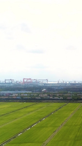 上海长兴岛风力发电风车世界地球日视频
