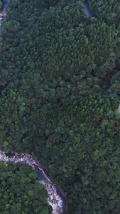 航拍5A安徽天堂寨风景区白马大峡谷与盘山公路全景视频旅游景点视频